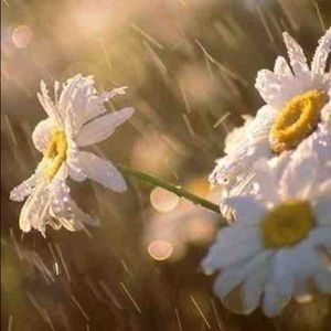 Meet your Posher, Kristina